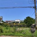 일주부동산중개사무소 이미지