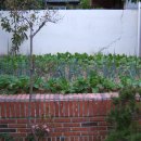 참다래집 이미지