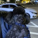 제일종합동물병원 이미지