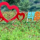 백일홍네일 이미지