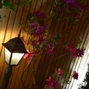 진리한옥 이미지