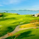 파인스크린골프 이미지