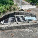 신수도 대구동 이미지