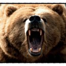 하나농장 이미지