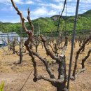 북암농장 이미지