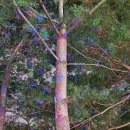 중산마을 이미지