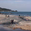 파도소리 Daum카페