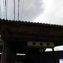 이선지선
