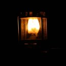 숲속에서 캠핑장 이미지