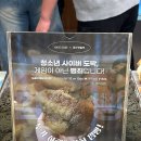 하레하레 이미지