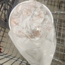 코스트코 천안점 | 코스트코 천안점 후라이드치킨 후기🍗🍗