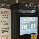 광화문이층약국 | 광화문 카페 추천 폴바셋 밀도 빵 + 주차 내돈내산 솔직후기