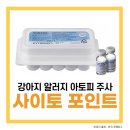 구미 산동 아이엔 동물병원 네이버블로그