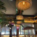 발리다포차 | 영등포역 술집 추천 [발리다포차 영등포점] 발리 감성 분위기 술집에 다양한 하이볼과 생맥주 라인업