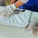 훼밀리호 이미지