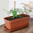 플라워&홈가드닝 이미지