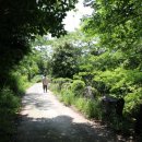 중문신라원말고기 이미지