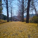 소백산마을농촌체험휴양마을 이미지