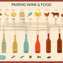 Pairing Wine &amp; Food 이미지