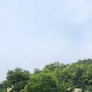 도안원탑공인중개사사무소 이미지