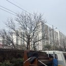 대구1급정비공장 | 대구 피아노조율 이사 전문ㅣ대구 달서구 이곡동 → 월성동 피아노 이사 후 조율 &amp; 액션 수리 후기