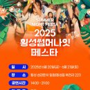 섬강노래방 | 🎇 한여름 밤을 밝히는 축제! 2025 횡성 썸머나잇 페스타 완벽 가이드 🎇