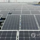 협업태양광발전소 이미지