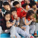 양실유치원 이미지