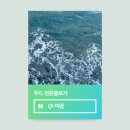 중앙로 | 대전 대흥동 중앙로 카페 커닝 내돈내산 카이막 후기