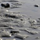 무안생태갯벌사업소 이미지