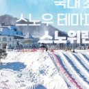 비발디파크스노위랜드 네이버블로그