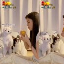 무스 피플워치