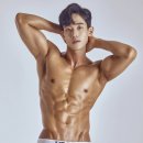 닥터피티 이미지