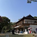 펫클럽 수석점 이미지