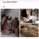 푸딩의 효능