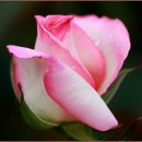 대공원역2번출구 이미지