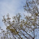 구림축사 이미지