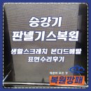 관공서 승강기 판넬기스복원, 생활스크레치 본디드메탈 표면수리후기