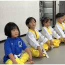 대호태권도체육관 이미지