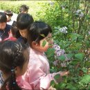 서문유치원 이미지