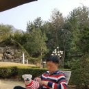 새벽종 이미지