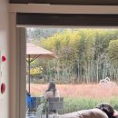 원점 | 스타벅스 기장 임랑원점 방문 후기