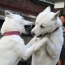 대가산업㈜ 이미지