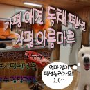 가평 아름마루 독채 애견펜션2 이미지