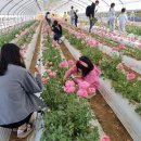 부여 서울농장 이미지