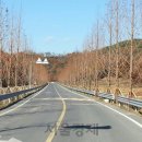 신두왕로 이미지