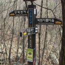 자드락길민박 티스토리