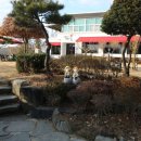청양 별장&봄 이미지