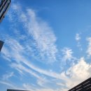 서리풀문화광장 앞 이미지