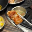 [청주] 철이네 꽃삼겹 / 율량동 고기 맛집